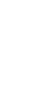 500 Sunny Steps